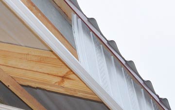 why Roe Lee fascia repairs are essential